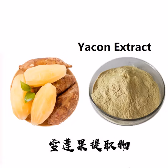 Factory Supply 100% Pure Natural Lotus Seed Extract Powder